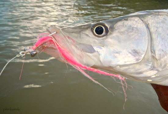 Flamingo Everglades Kayak Fishing Report