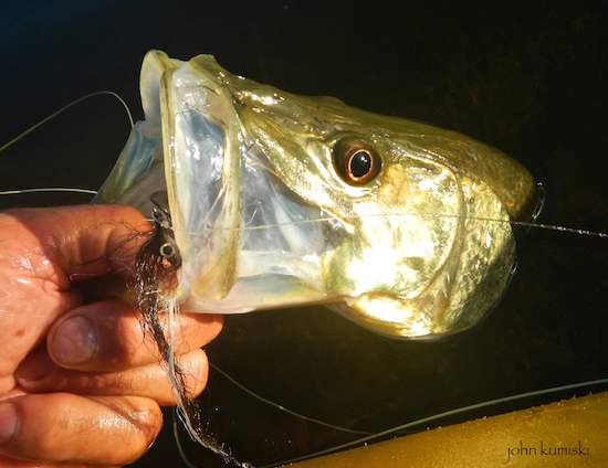 Flamingo Everglades Kayak Fishing Report