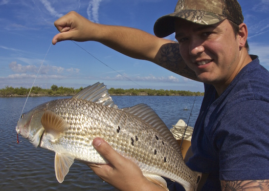 mosquito lagoon redfish