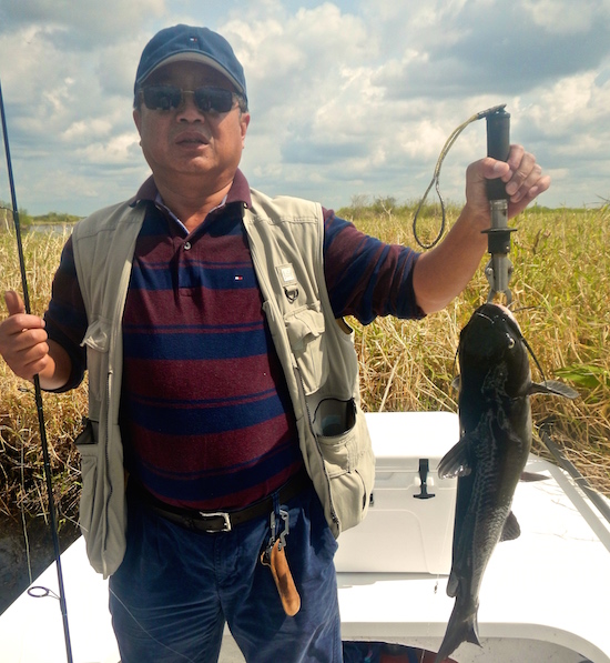 st. johns river shad fishing report