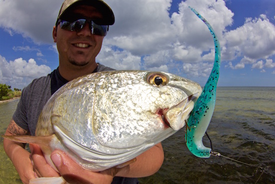 indian river lagoon fishing report