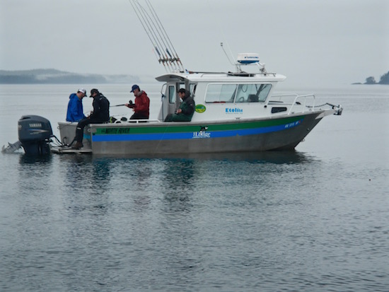 whale pass fishing report