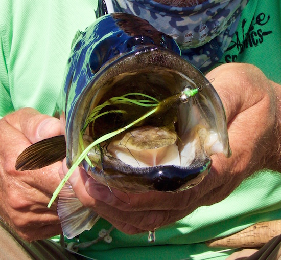 Nasty Weather Orlando Fishing Report