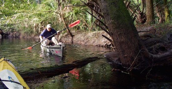 Upper Econ Paddle