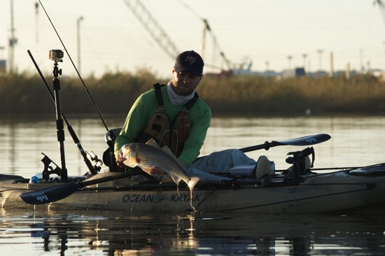 venice la fishing report