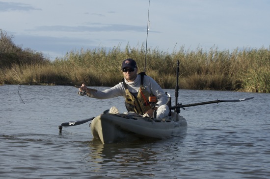 venice la fishing report