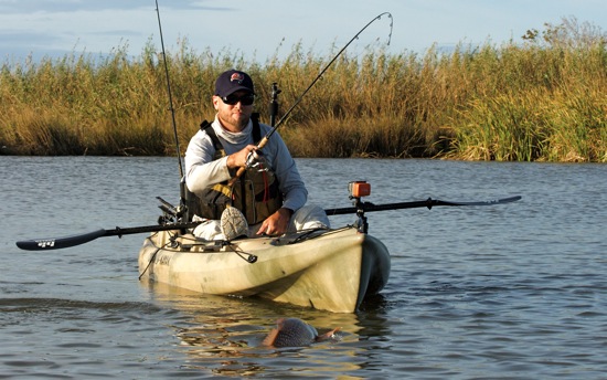 venice la fishing report