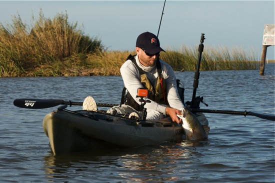 venice la fishing report