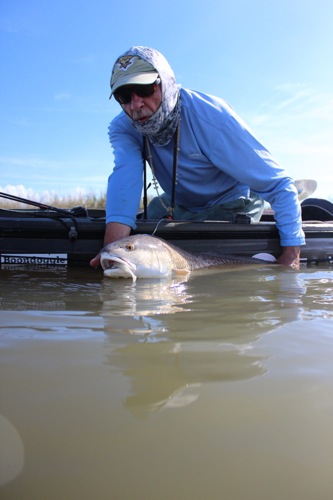 venice la fishing report