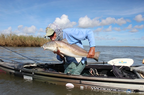 venice la fishing report