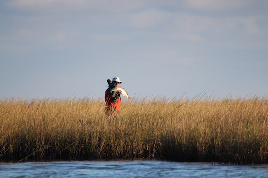 louisiana fishing report