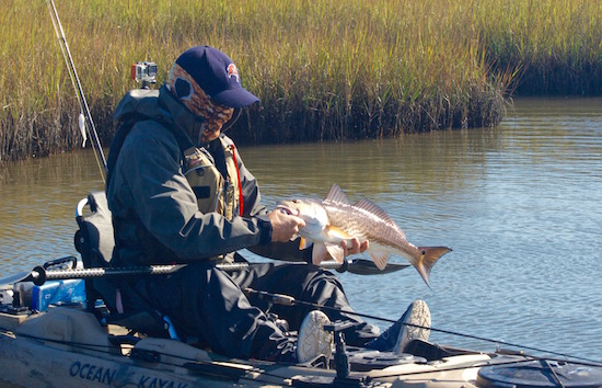 louisiana fishing report