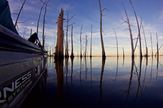 louisiana fishing report