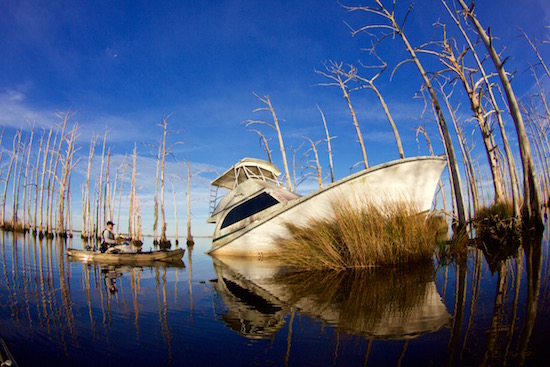 louisiana fishing report