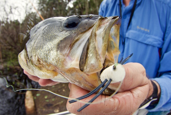 orlando fishing report