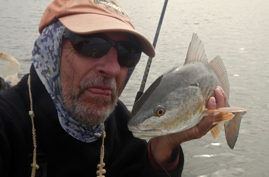 mosquito lagoon fishing report