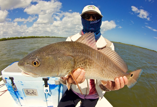 mosquito lagoon fishing report