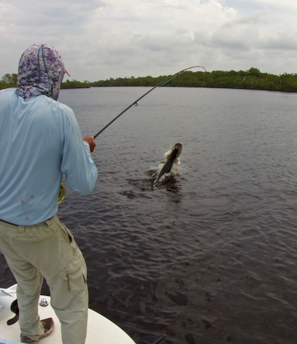 flamingo fishing report