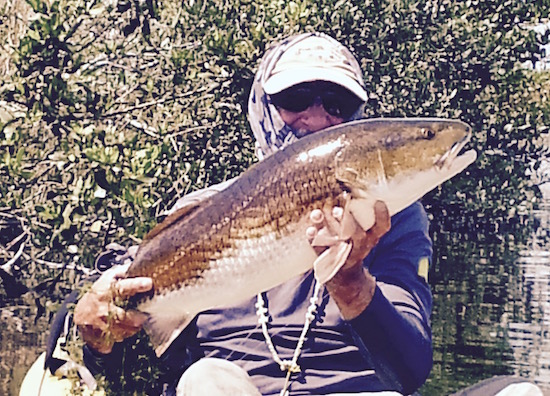 orlando fishing report