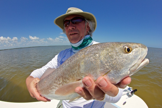 mosquito lagoon fishing report