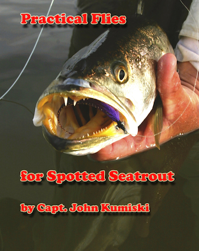 Seatrout flies ebook cover copy 2