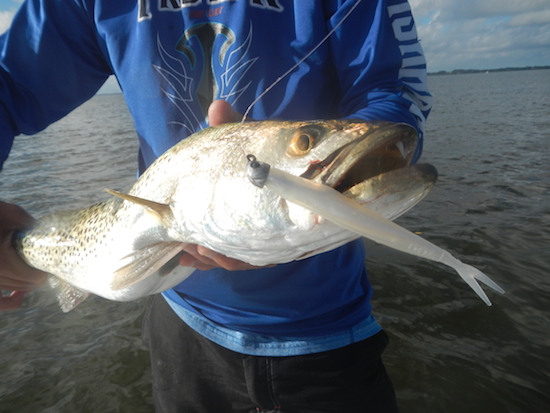 indian river lagoon fishing report