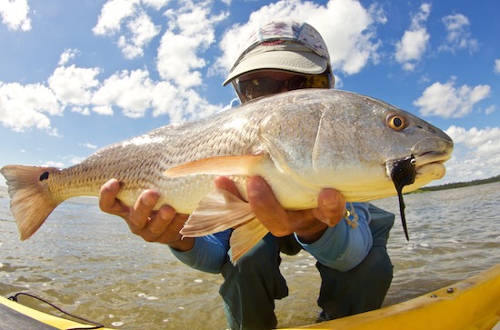 Kayak Fly Fishing Mosquito Lagoon redfish