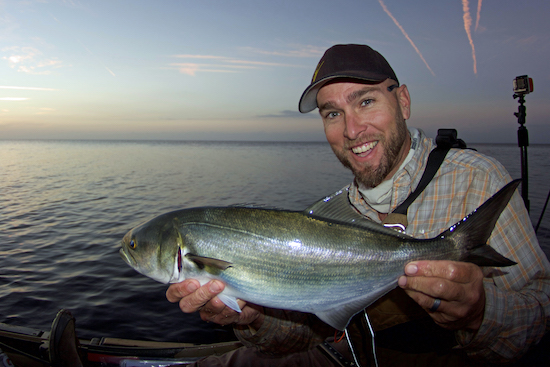 big bend paddle fishing report