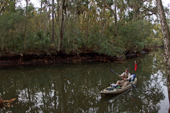 big bend paddle fishing report