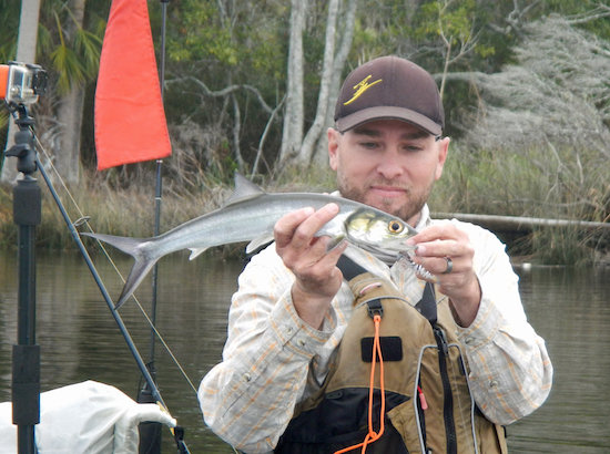 big bend paddle fishing report