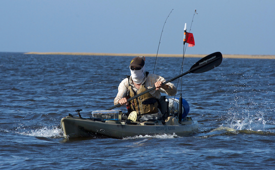 big bend paddle fishing report