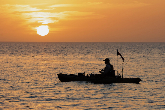 big bend paddle fishing report