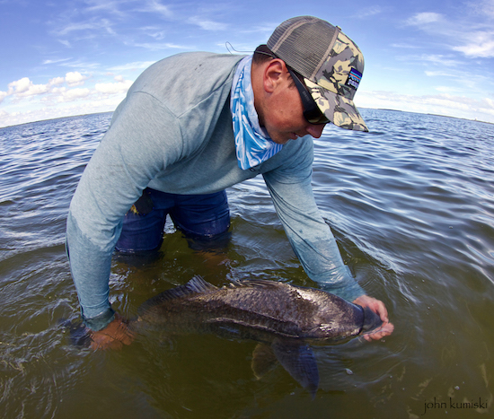 black drum fishing report