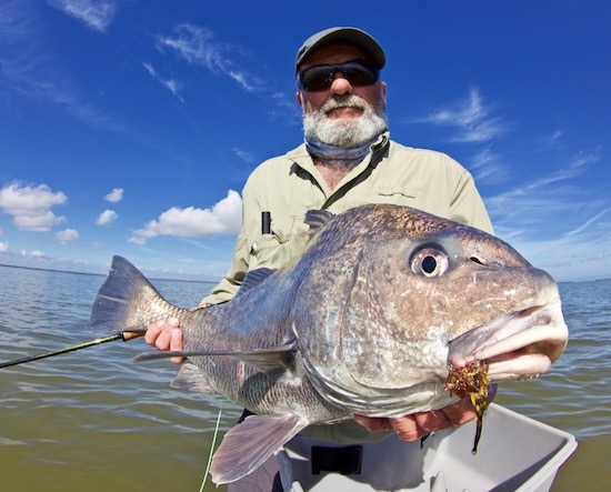 black drum fishing report