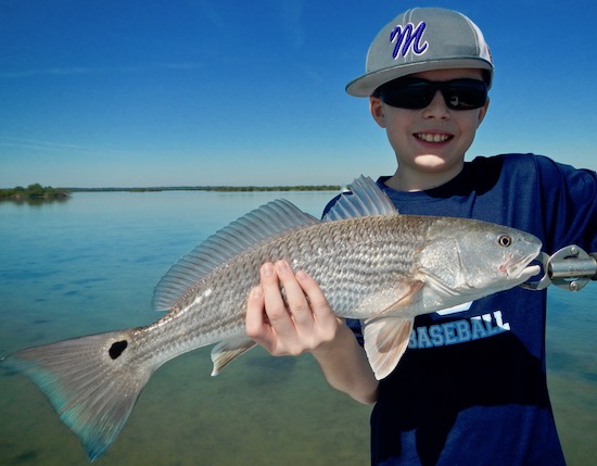 mosquito lagoon fishing report