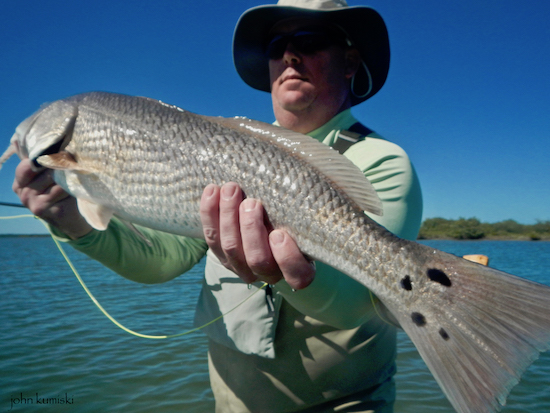 mosquito lagoon fishing report