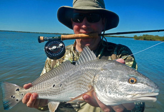 mosquito lagoon fishing report