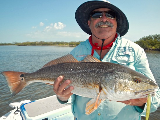 mosquito lagoon fishing report