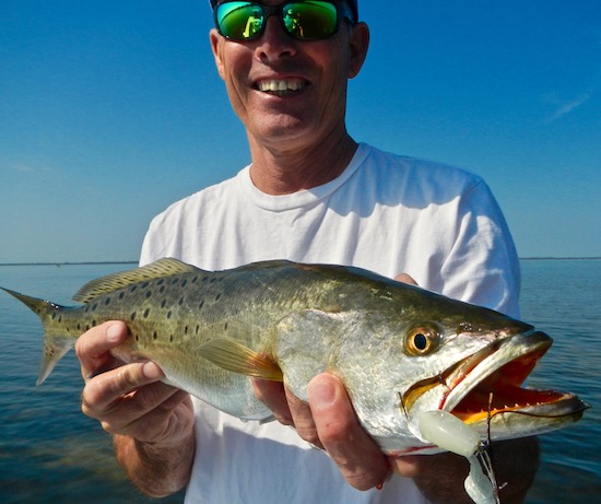 mosquito lagoon fishing report