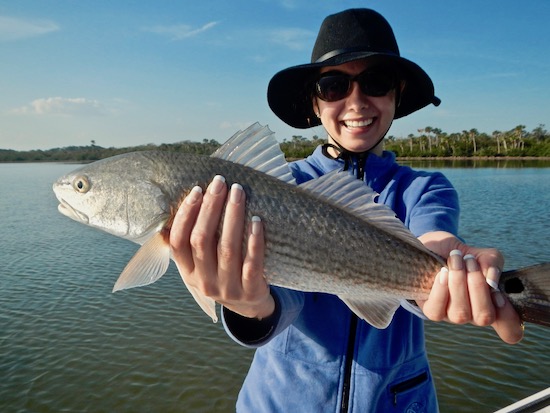 mosquito lagoon fishing report