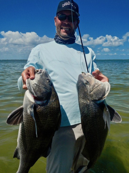 black drum fishing report