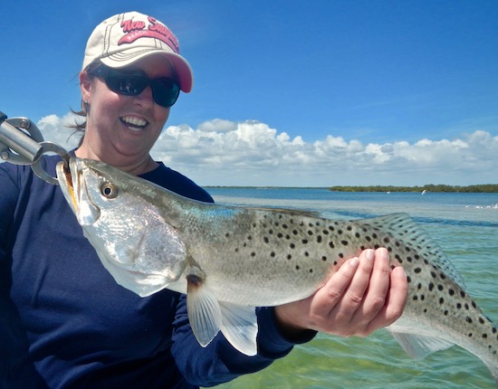 mosquito lagoon fishing report