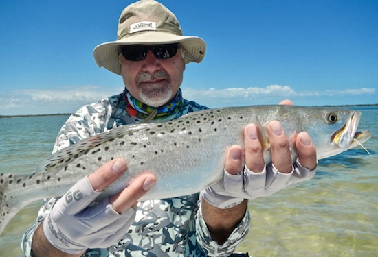 mosquito lagoon fishing report