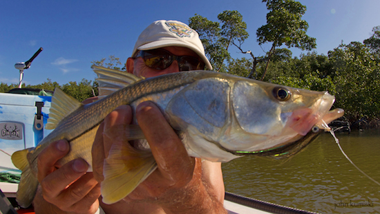 chokoloskee fishing report