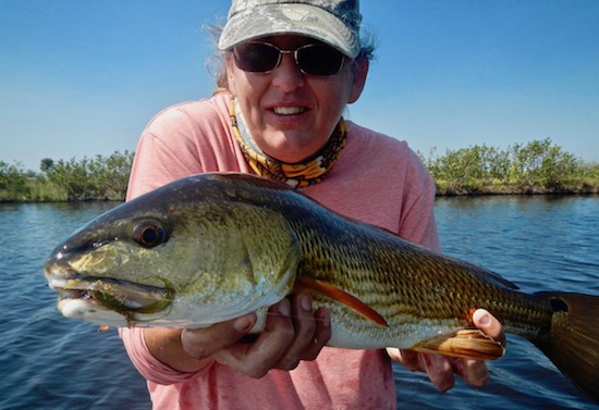 mosquito lagoon fishing report