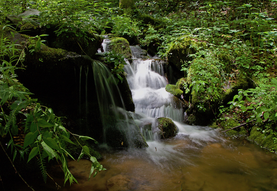  east tennessee fishing report