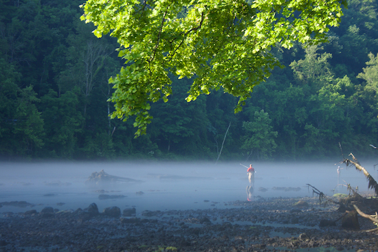  east tennessee fishing report