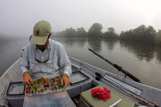  east tennessee fishing report