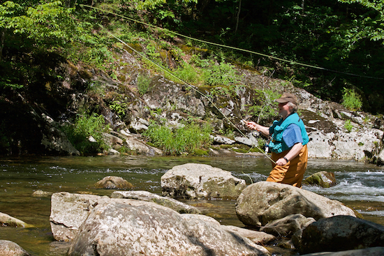 Anderson County Tennessee fishing report