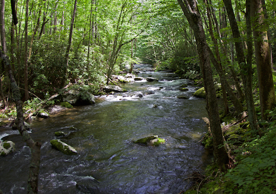  east tennessee fishing report